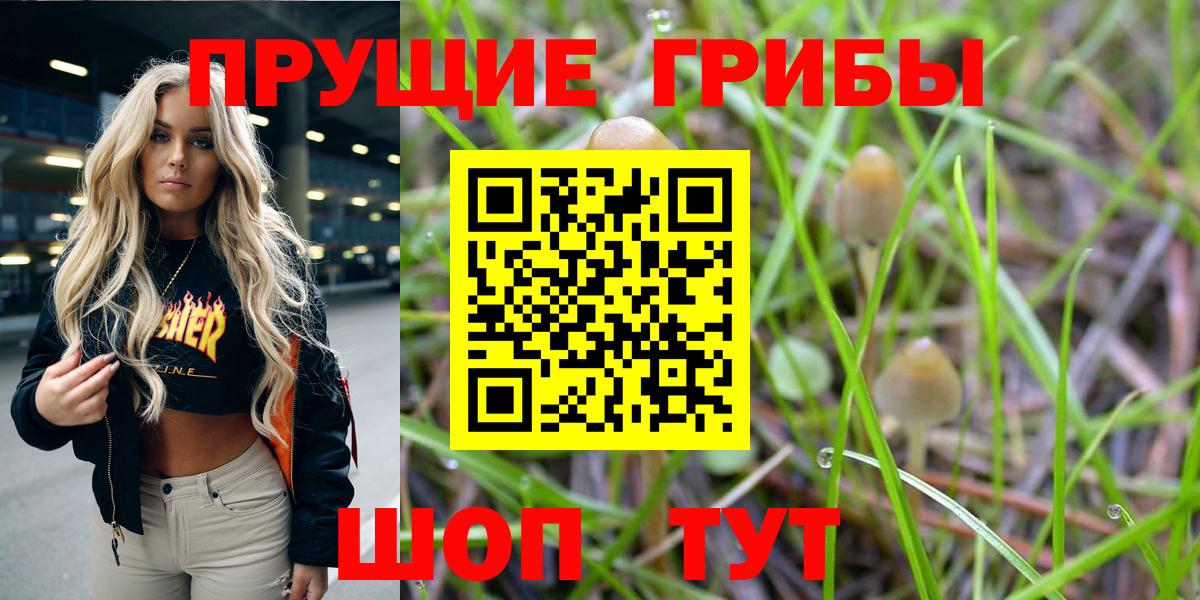 Галлюциногенные грибы мухоморы Ухта